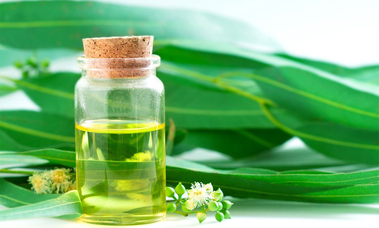 Eucalyptus oil